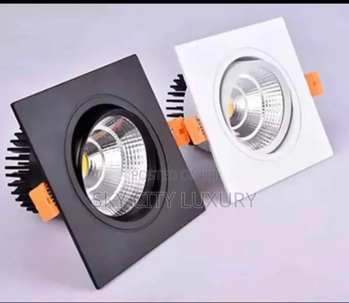 Led Sport Light