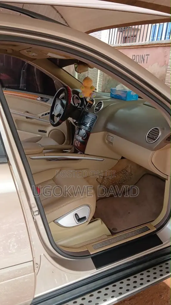 Mercedes-Benz M Class 2010 Silver