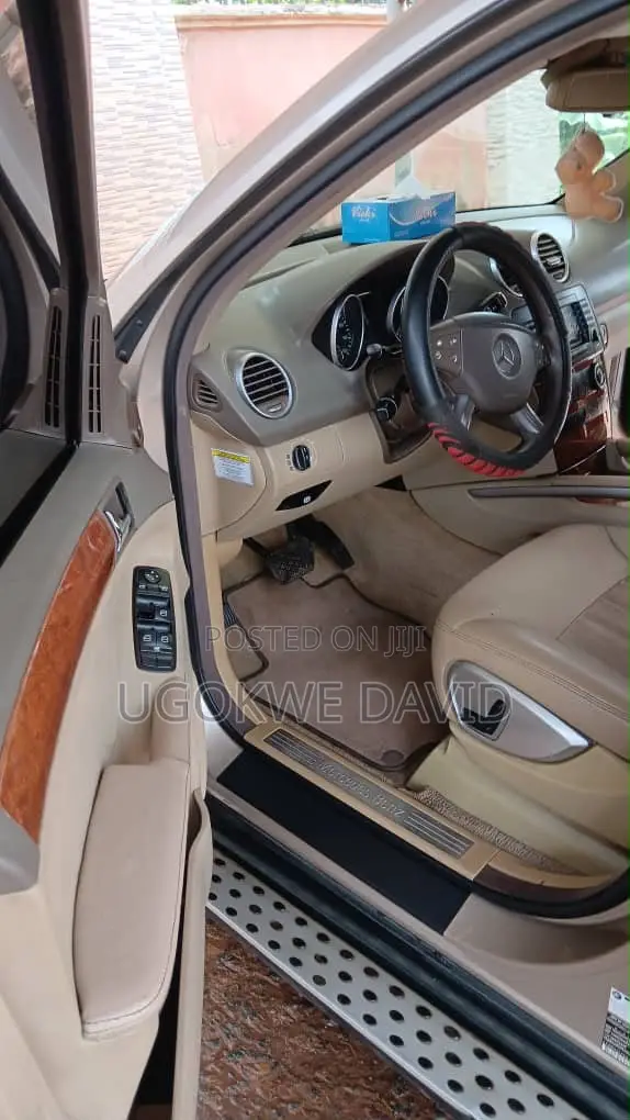 Mercedes-Benz M Class 2010 Silver