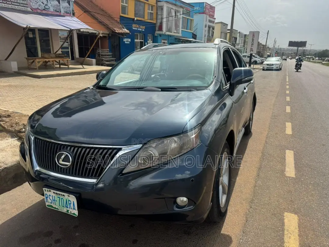 Lexus RX 350 2010 Gray