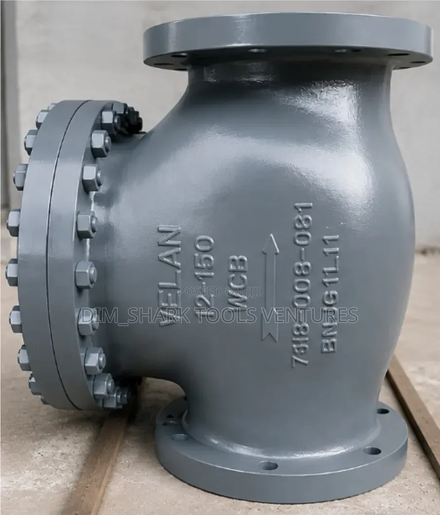 12-Inch Class 150 WCB Swing Check Valve
