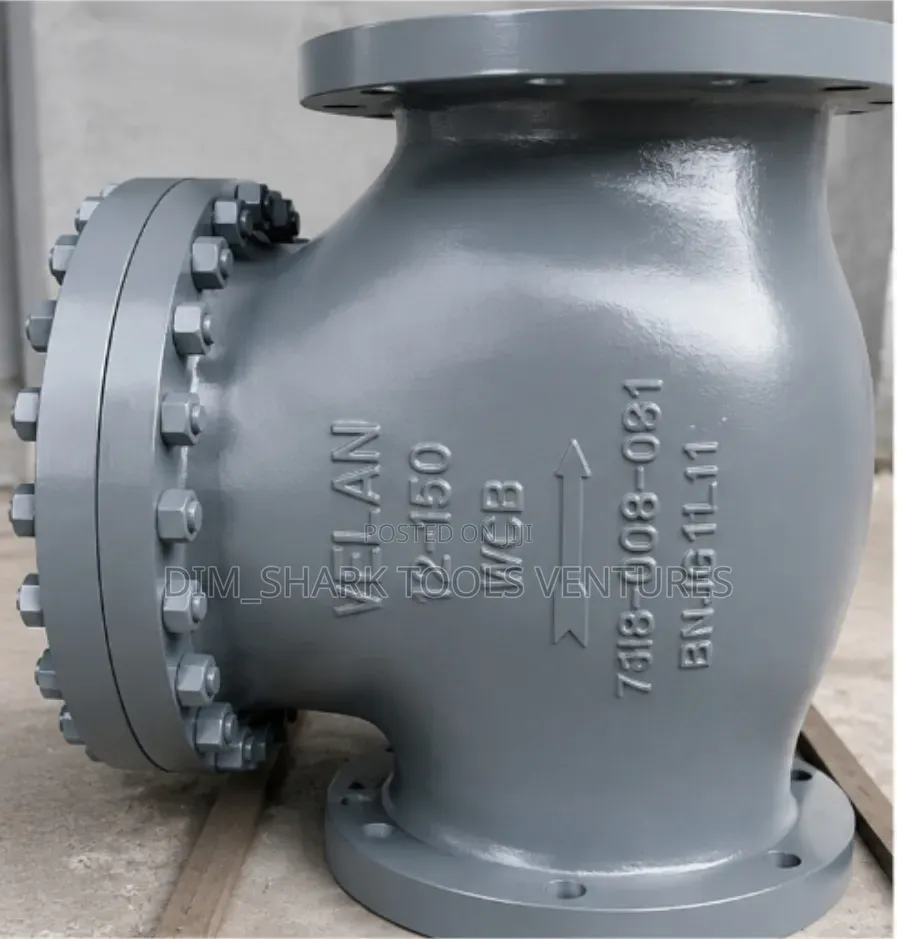12-Inch Class 150 WCB Swing Check Valve