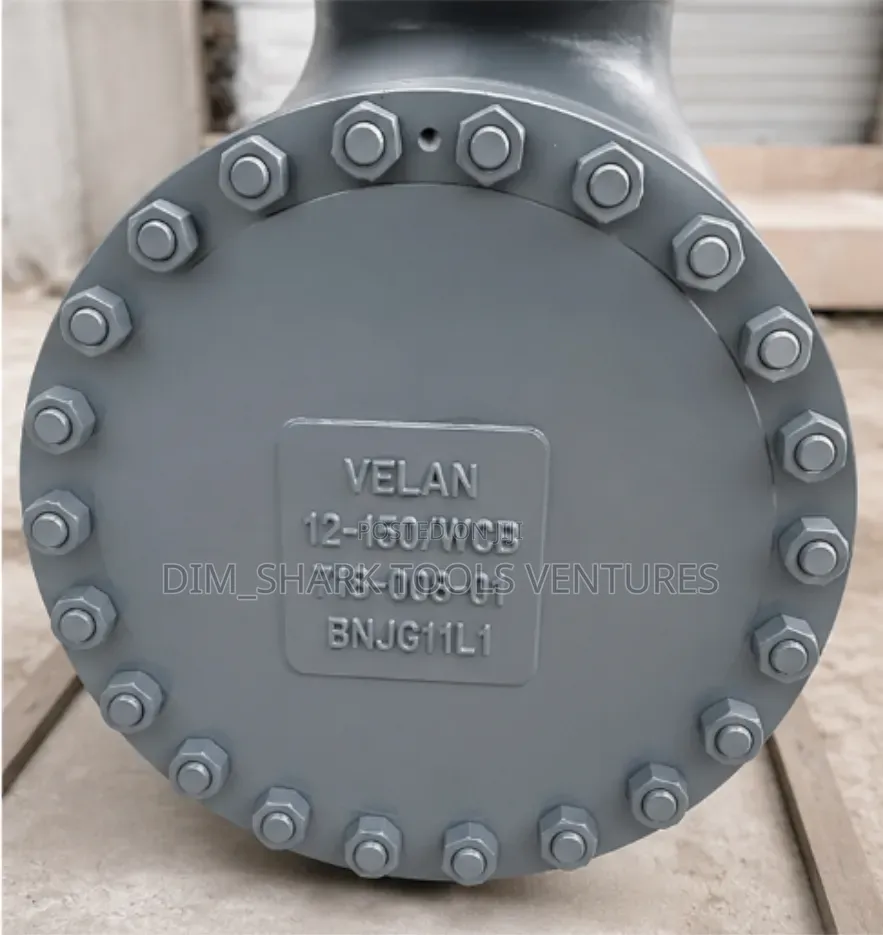 12-Inch Class 150 WCB Swing Check Valve