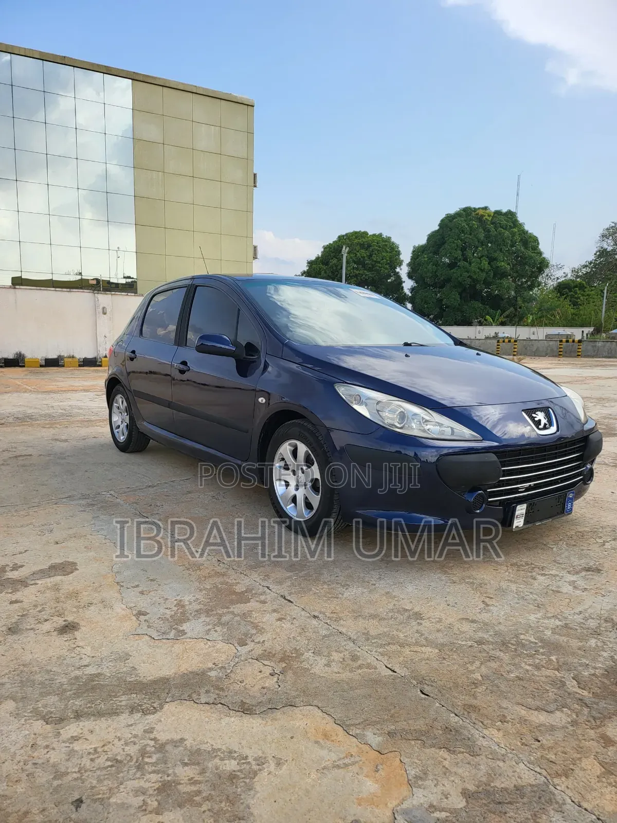 Peugeot 307 2005 Blue
