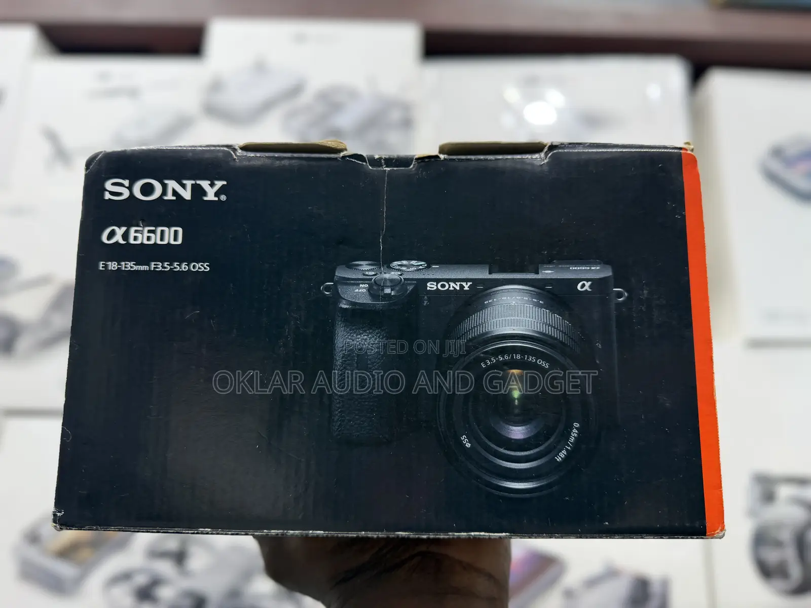 Sony A6600 Mirroless Camera With 18-135mm Lens