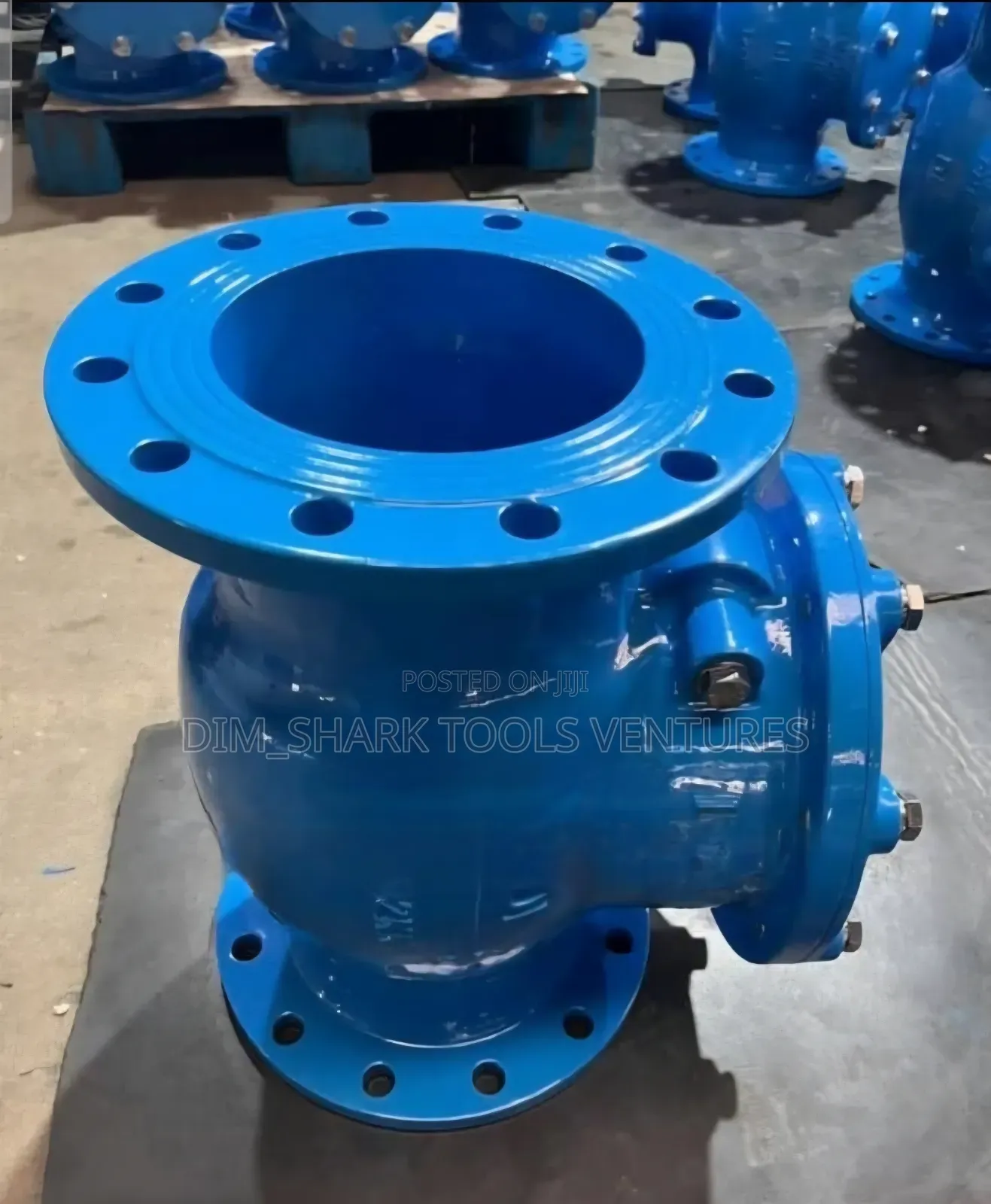 12"-Inch (Dn300)Swing Check Valve to Prevent Backflow in Pipelines