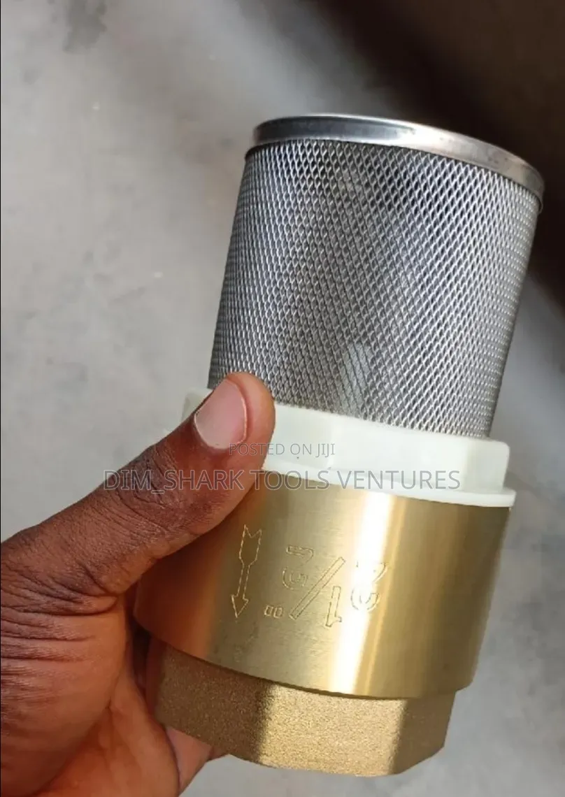 2-1/2 Inch Brass Net Foot Valve for Water Pump Suction Line