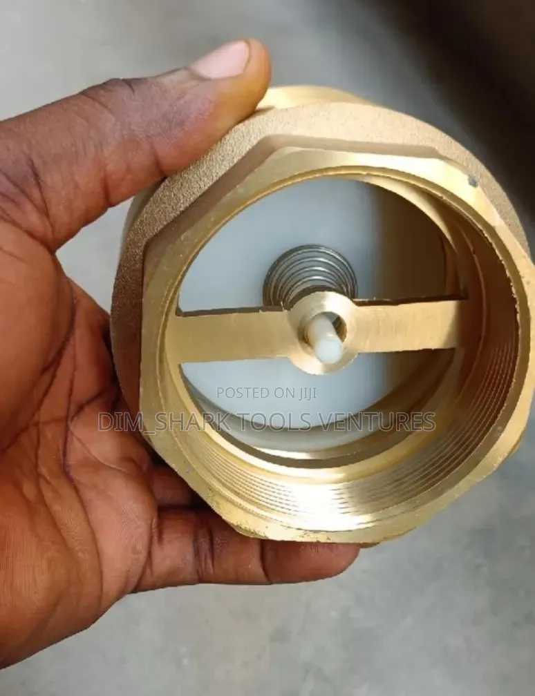2-1/2 Inch Brass Net Foot Valve for Water Pump Suction Line