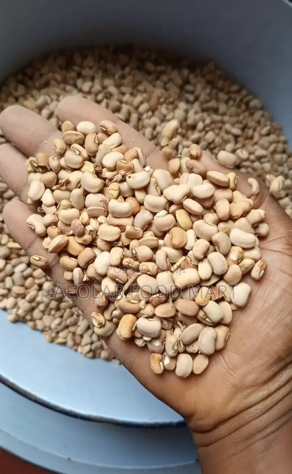 Bowl of Honey Beans