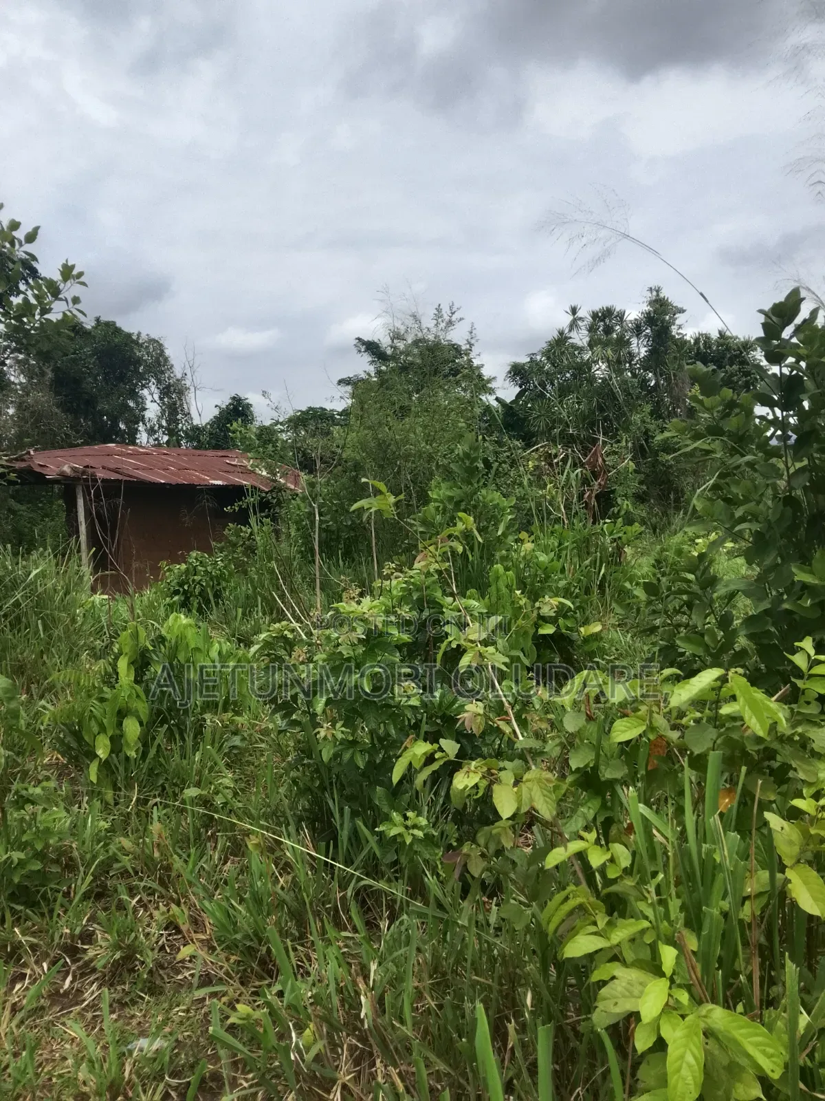 300 Plots/Farm Land/for Sale/Ikere Ekiti/Off Akure Road/Deed+Receipt.