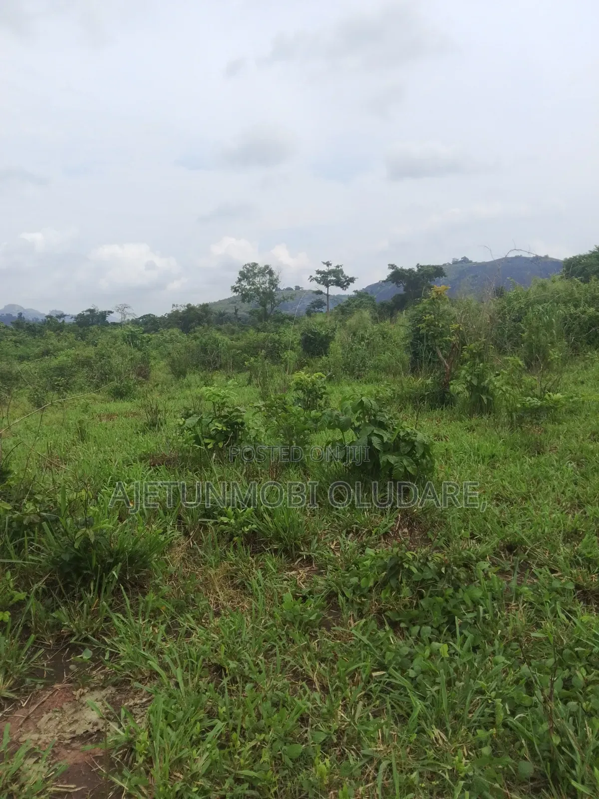 300 Plots/Farm Land/for Sale/Ikere Ekiti/Off Akure Road/Deed+Receipt.