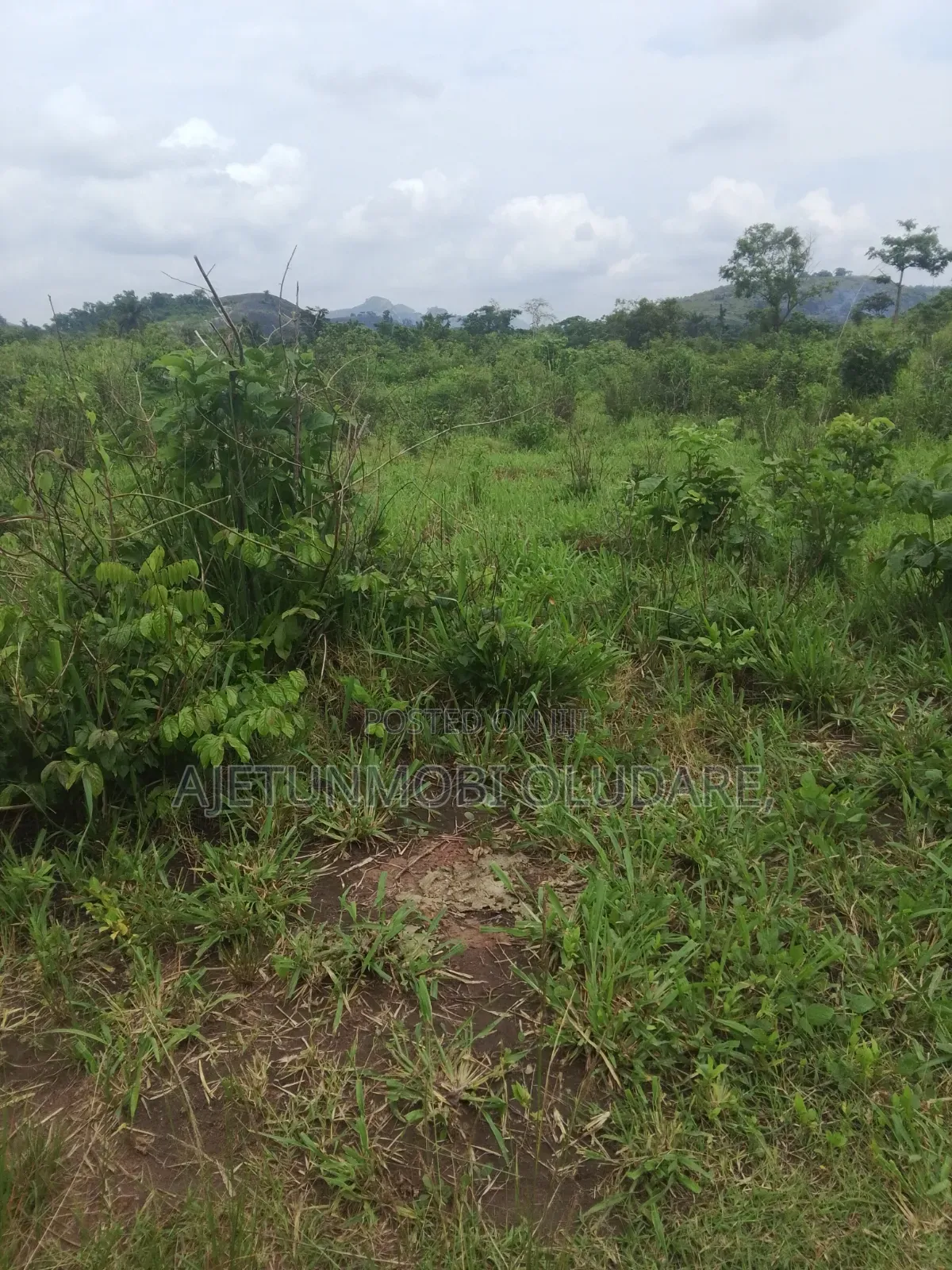 300 Plots/Farm Land/for Sale/Ikere Ekiti/Off Akure Road/Deed+Receipt.