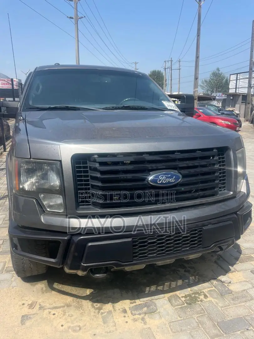 Ford F-150 2012 Gray