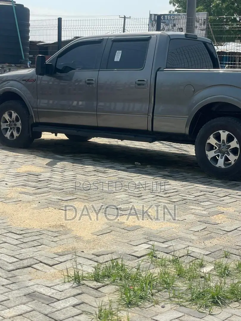 Ford F-150 2012 Gray