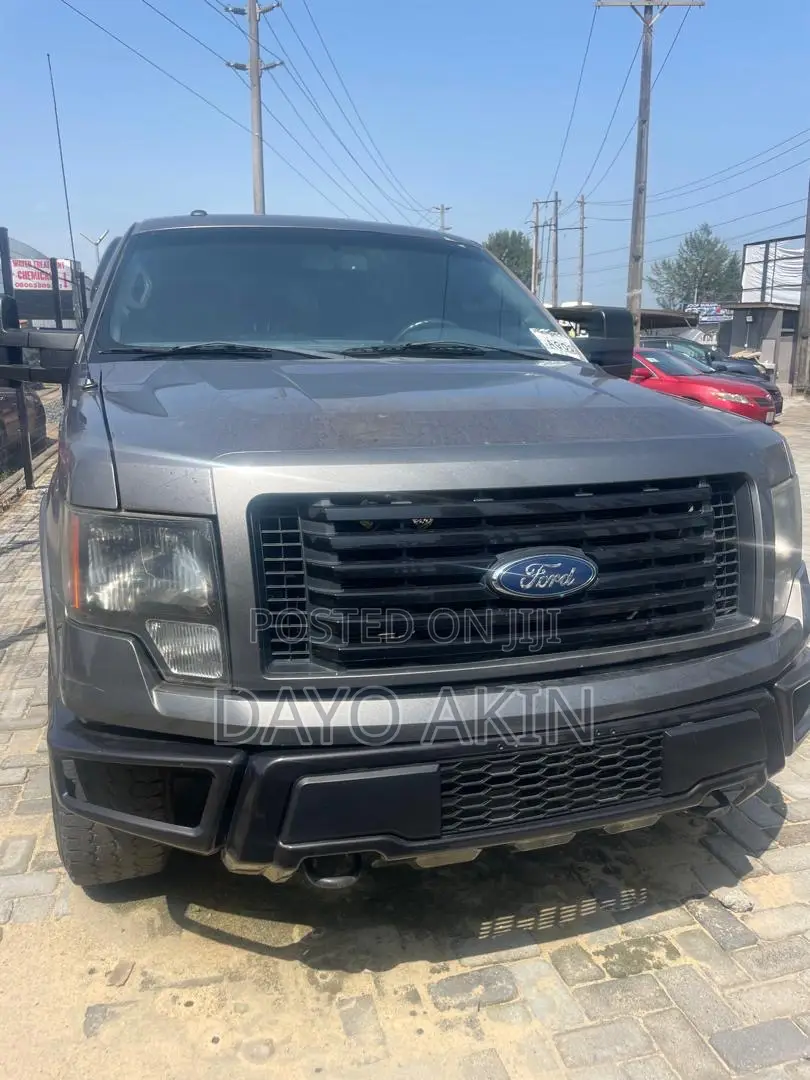 Ford F-150 2012 Gray