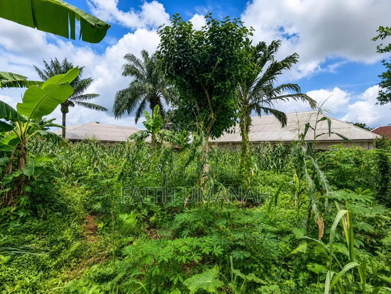 Government Residential Land