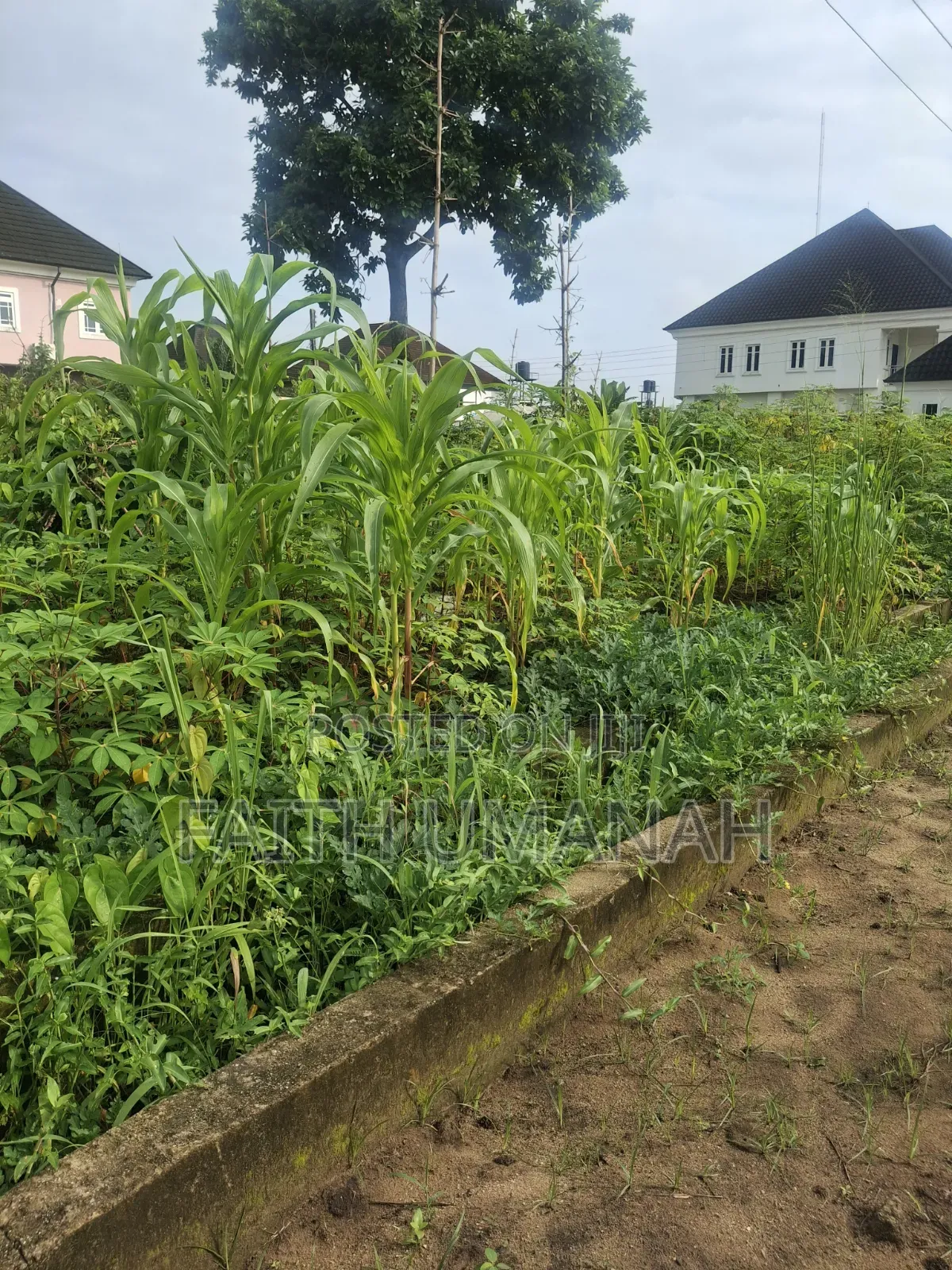 Residential Land