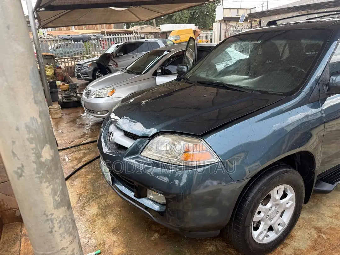 Acura MDX 2005 Gray