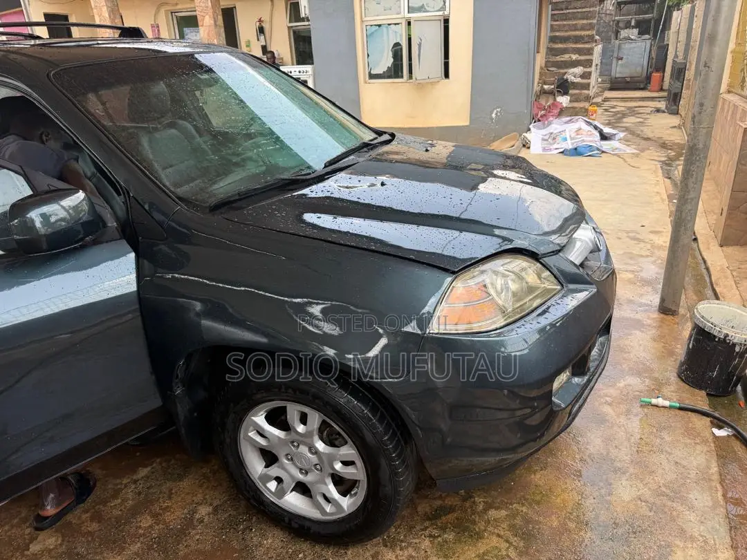 Acura MDX 2005 Gray