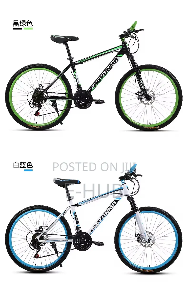 Adult Bicycle