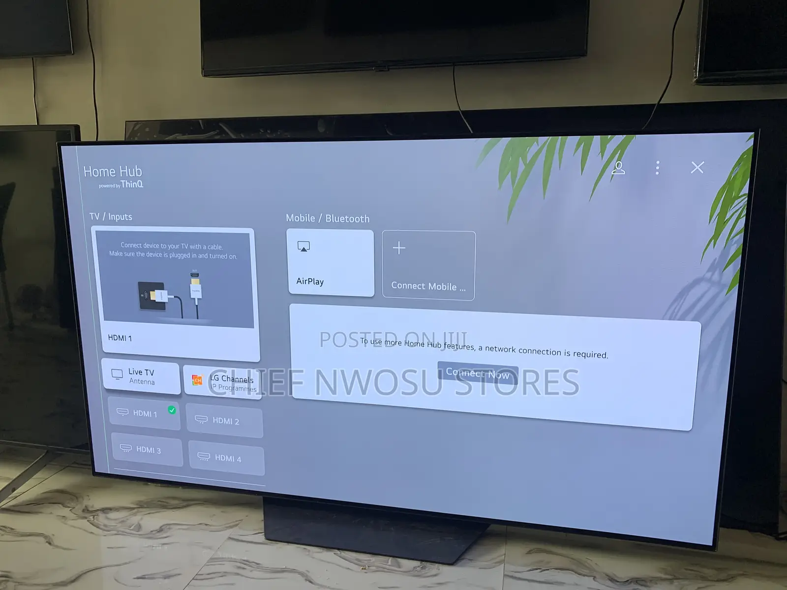 2023 65” Lg Oled Smart Tv (With a Line)