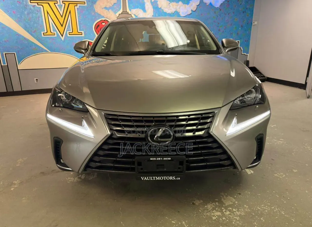 Lexus NX 2019 Brown