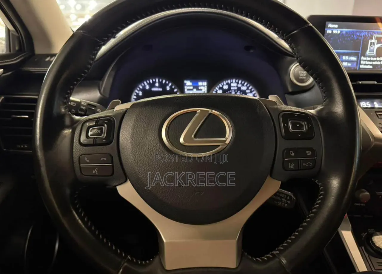 Lexus NX 2019 Brown