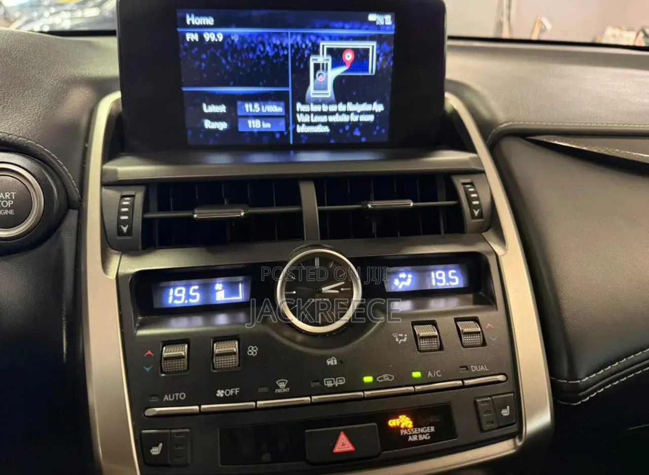 Lexus NX 2019 Brown