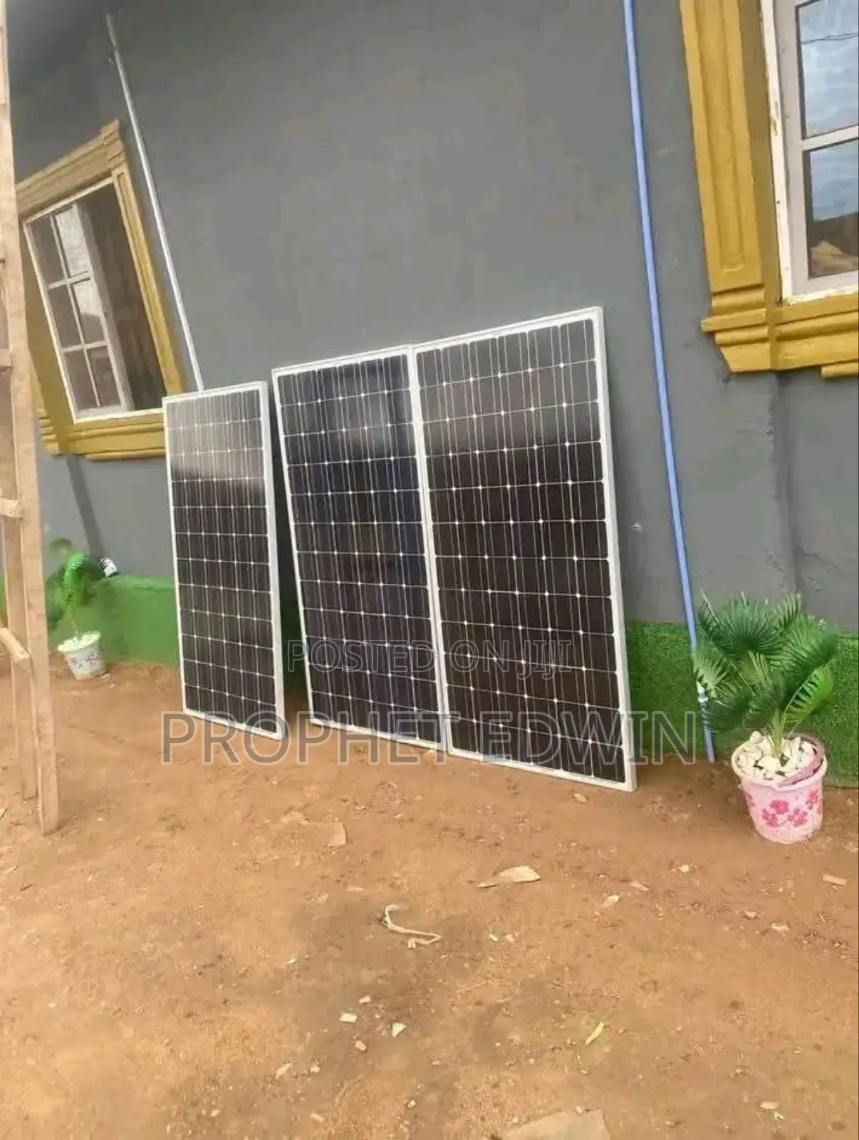 1 King Solar Man