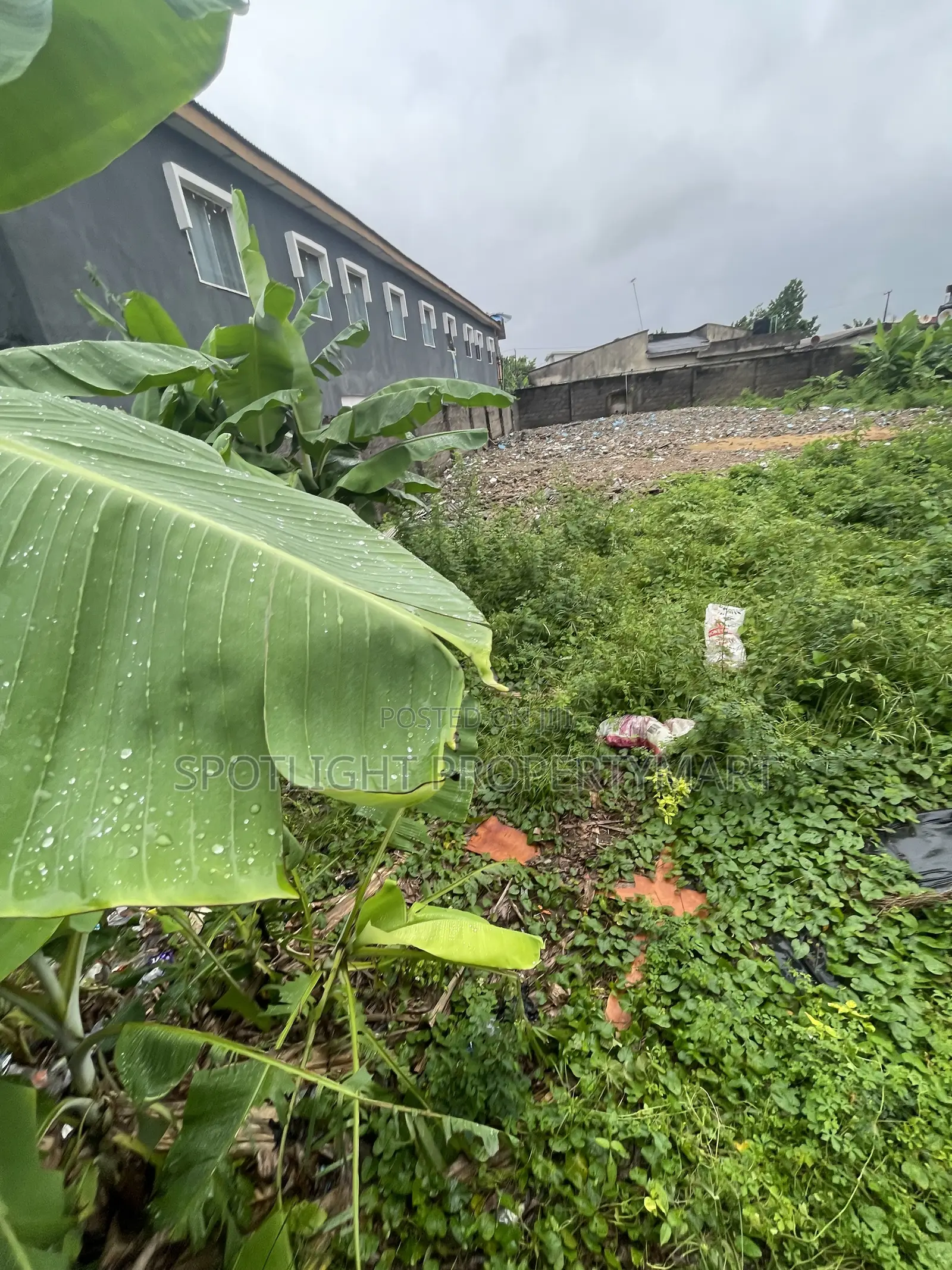 A Plot of Dry Land for Sale