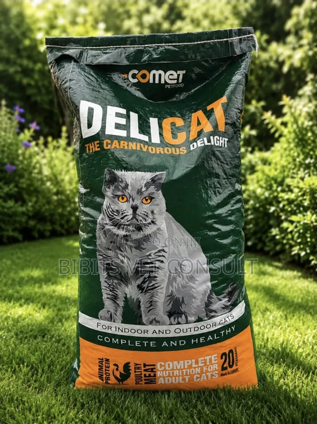 20kg Cat Crunchy Delicat Petcool Bricopet