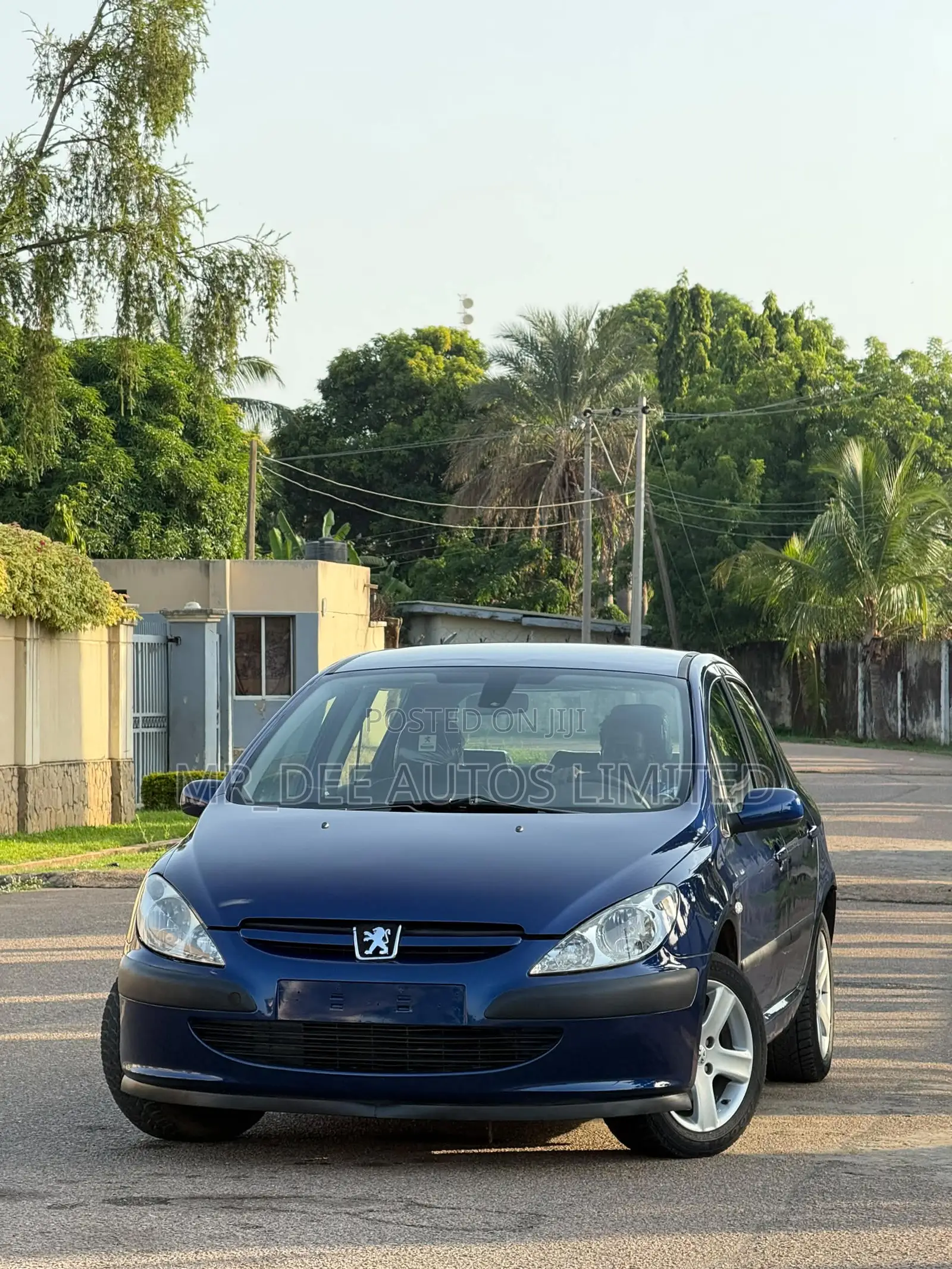 Peugeot 307 2007 Blue