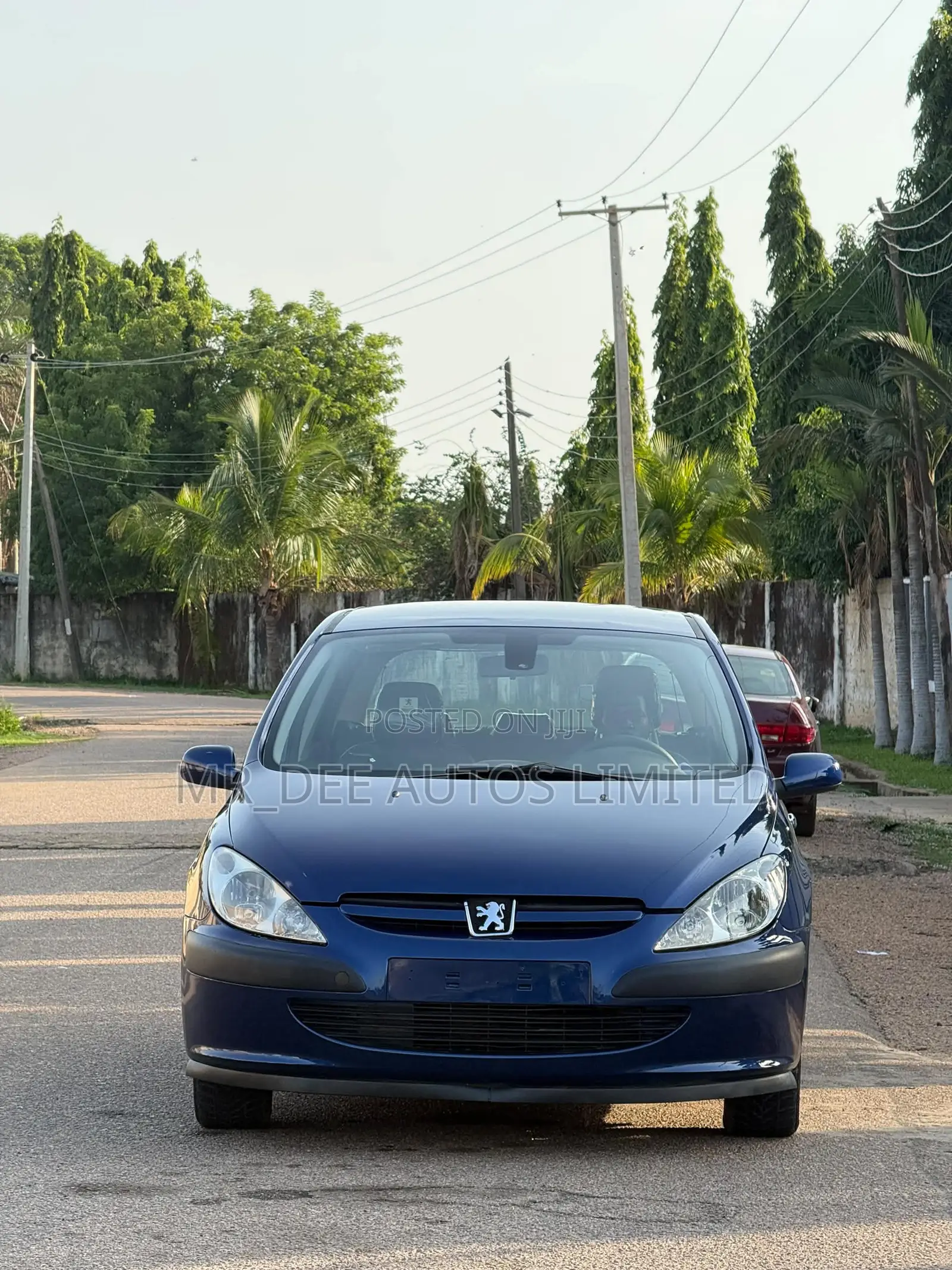 Peugeot 307 2007 Blue