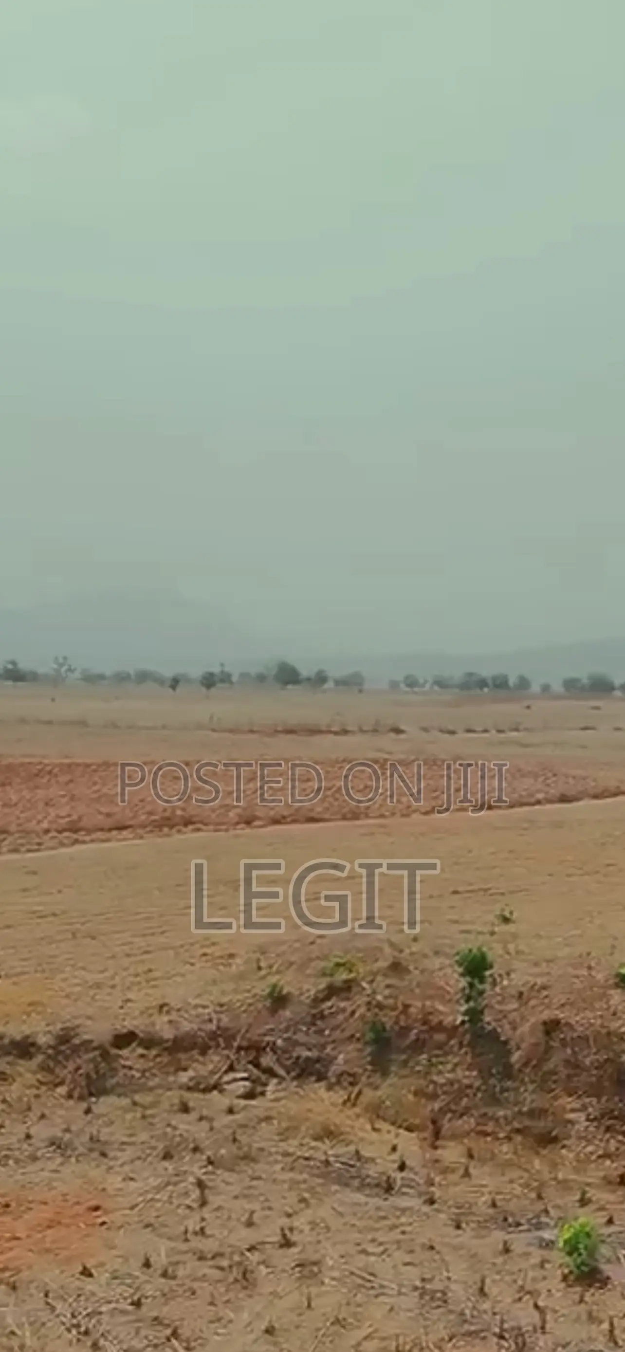 15 Hectares: R of O With Fcda Recertification