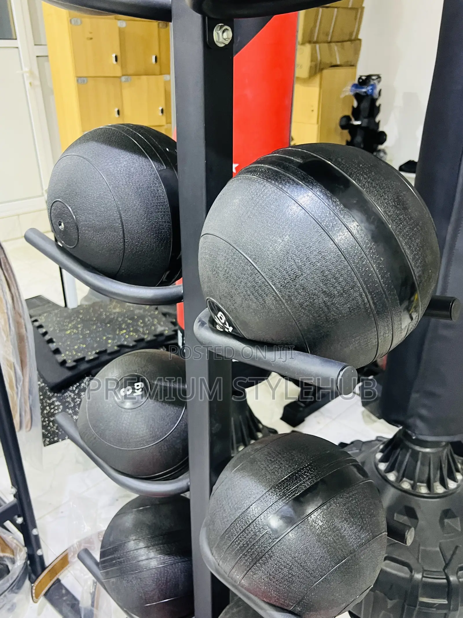 Premium Medicine Ball