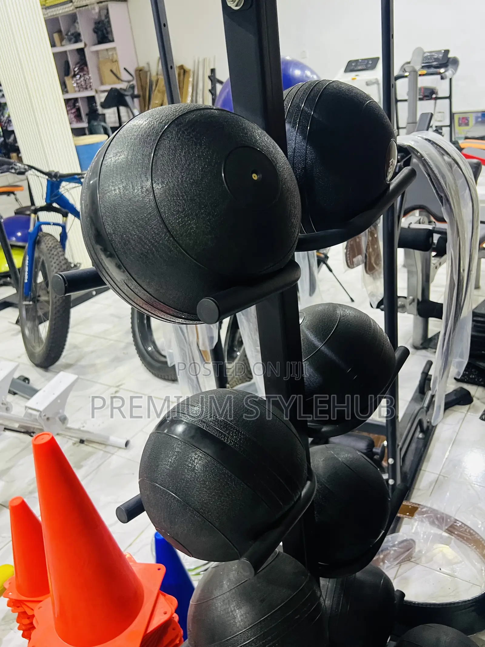 Premium Medicine Ball