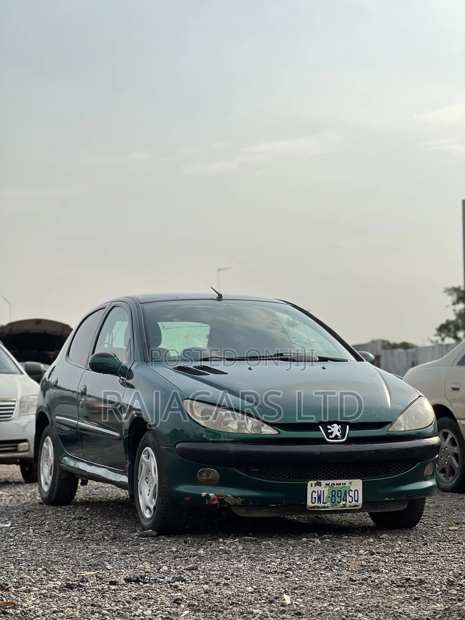 Peugeot 206 SW 2004 Green