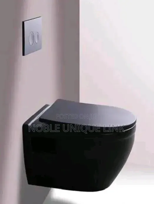 Black Wall Hung Concealed Water Closet