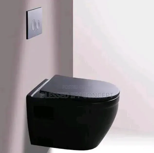 Wall Hung Water Closet Black Color