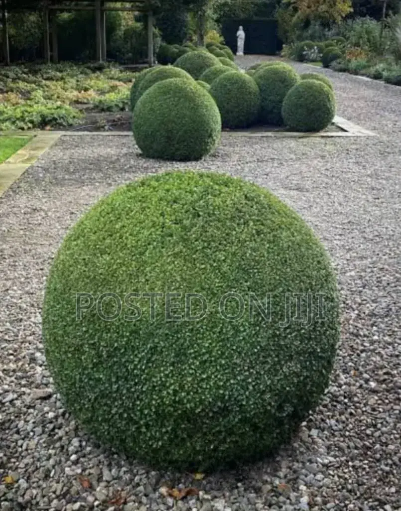 Garden Beautification and Landscape Construction