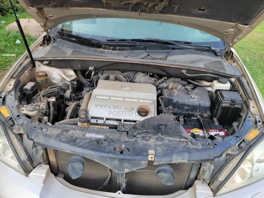 Lexus RX 2006 Gold