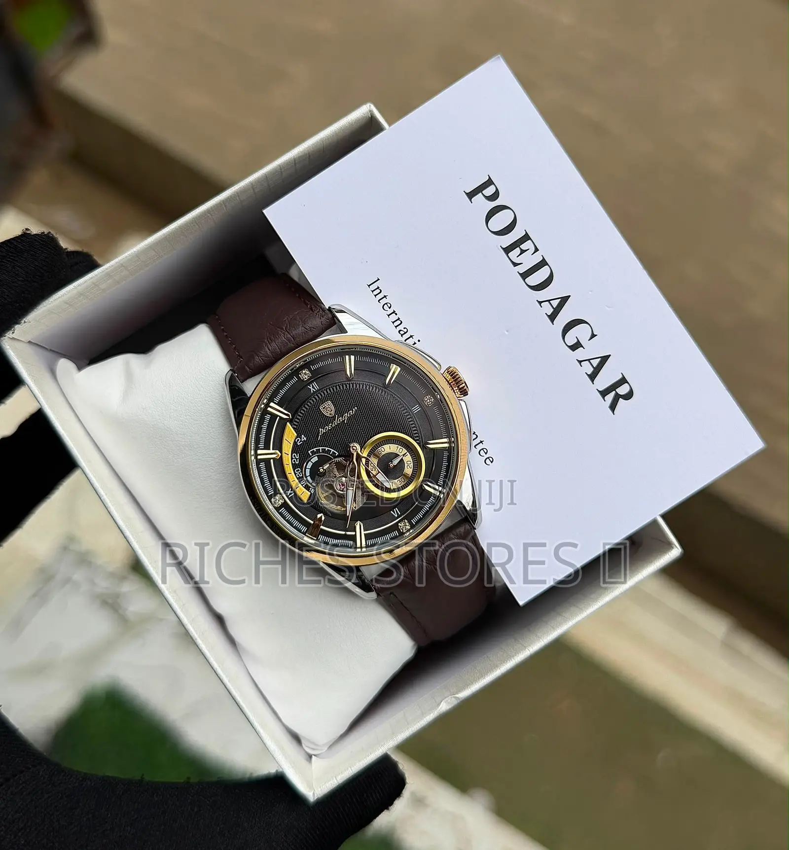 Poedagar Automatic Waterproof Sapphire Glass Leather Watch