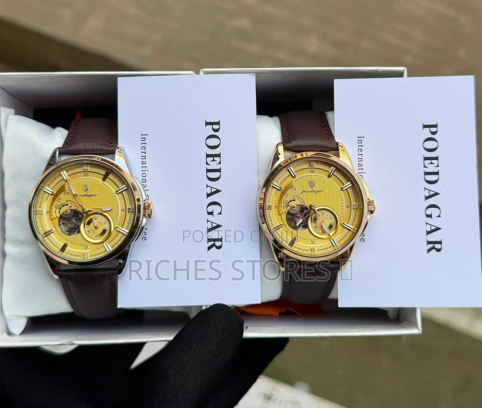 Poedagar Automatic Waterproof Sapphire Glass Leather Watch