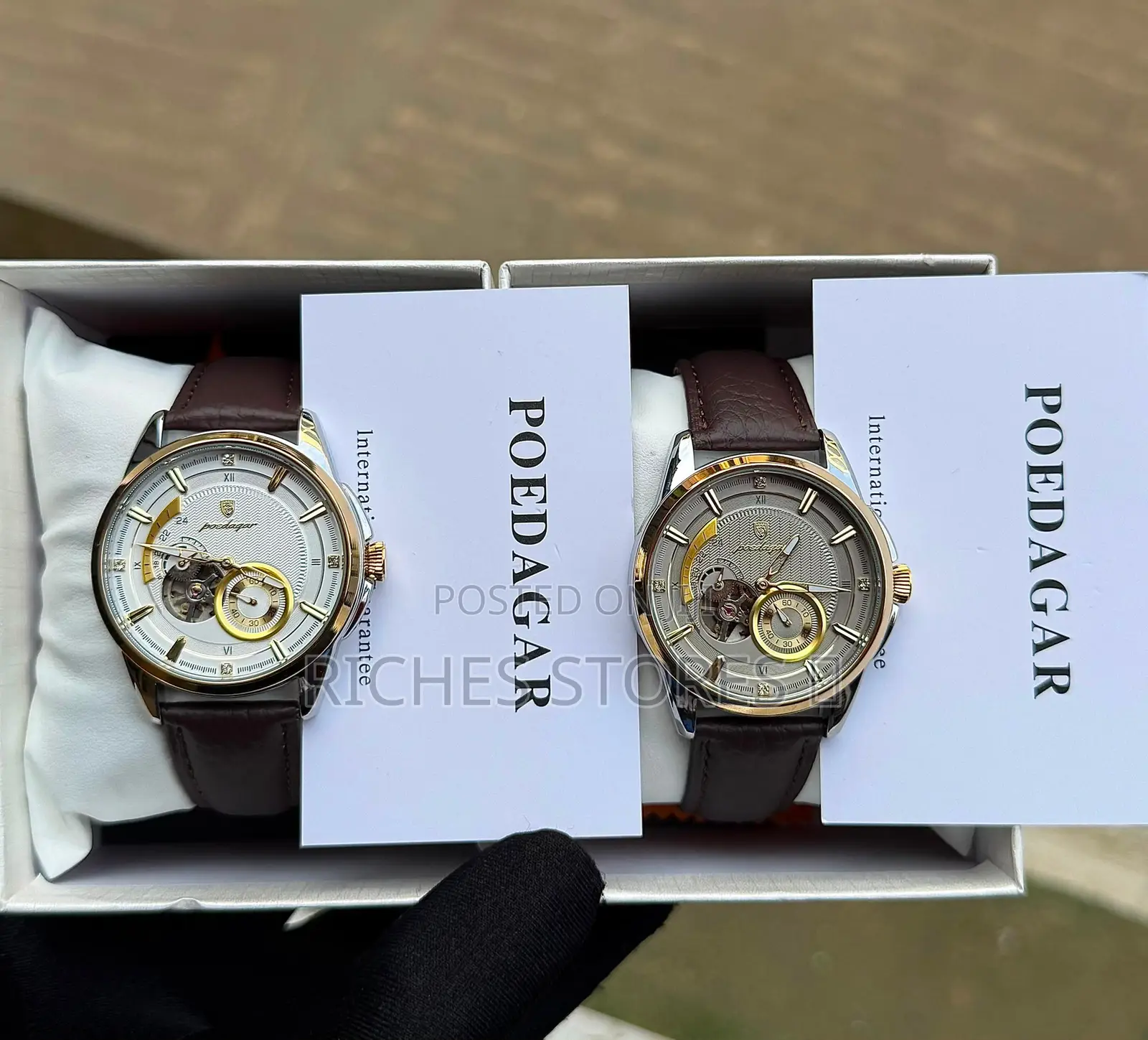 Poedagar Automatic Waterproof Sapphire Glass Leather Watch