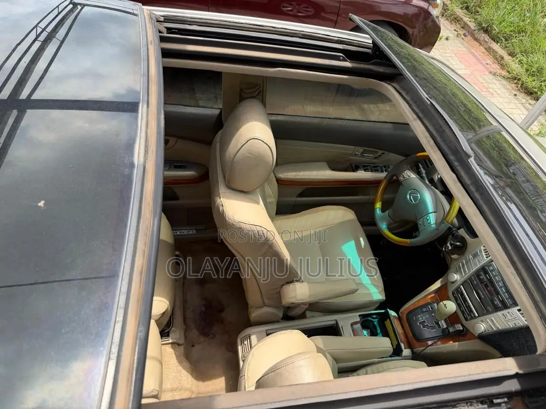 Lexus RX 2008 Gold