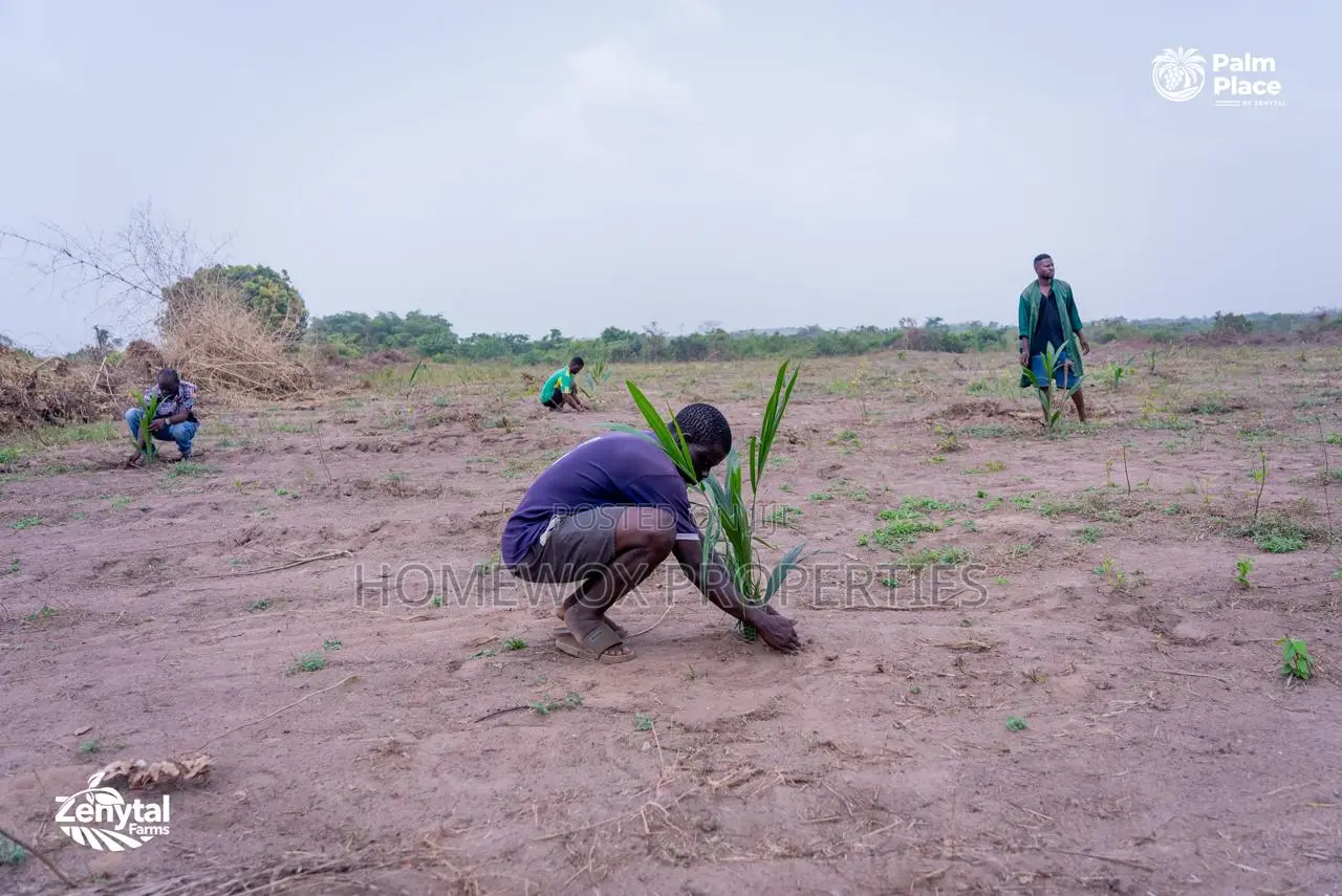 15 Plots of Land for Sale in Ogun State