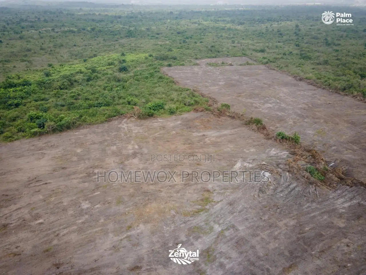 15 Plots of Land for Sale in Ogun State
