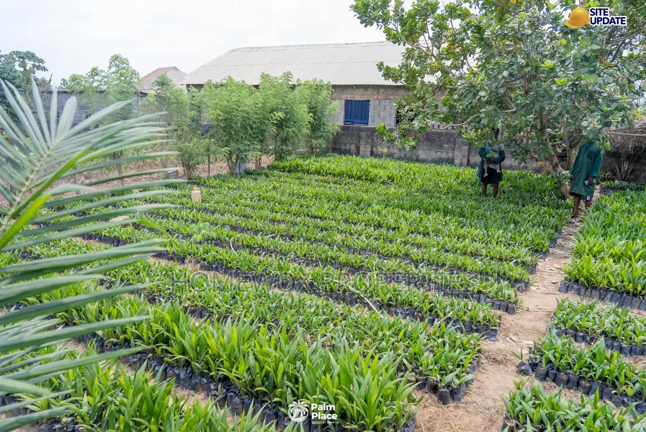 15 Plots of Land for Sale in Ogun State