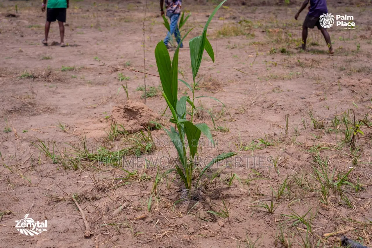 15 Plots of Land for Sale in Ogun State