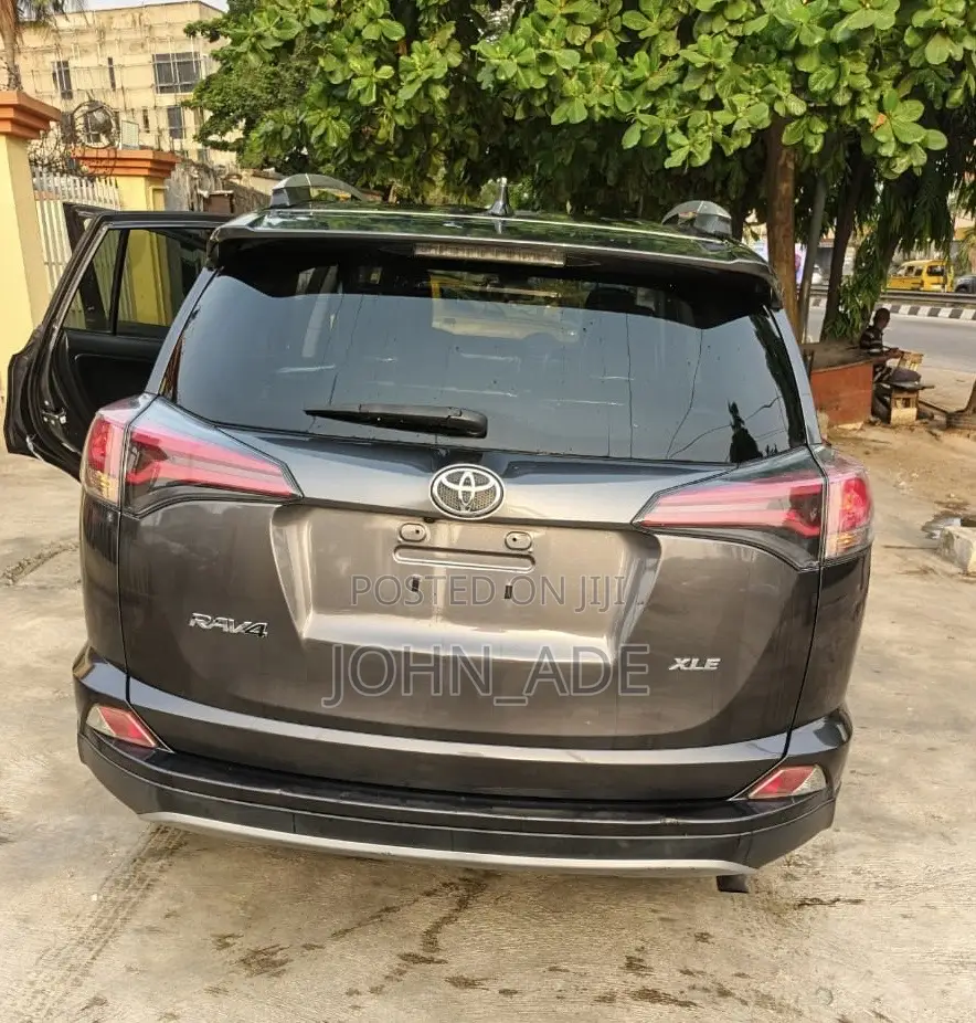 Toyota RAV4 XLE 4dr SUV (2.5L 4cyl 6A) 2018 Gray
